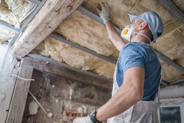 Insulation Replacement Services in South Williamsport, PA