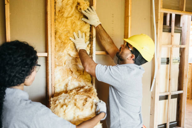 Professional Insulation Contractor in South Williamsport, PA