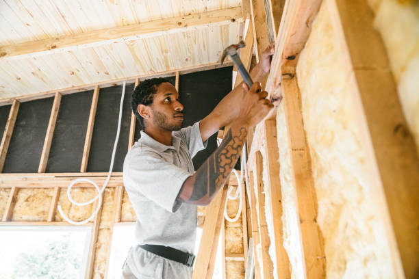 Best Professional Insulation Contractor  in South Williamsport, PA