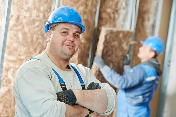Best Attic Insulation Installation  in South Williamsport, PA