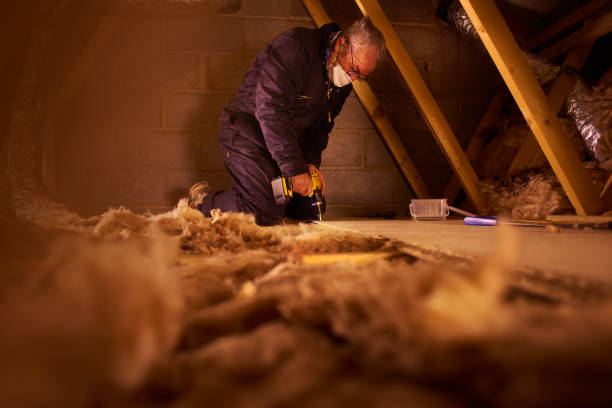 Best Wall Insulation Contractor  in South Williamsport, PA